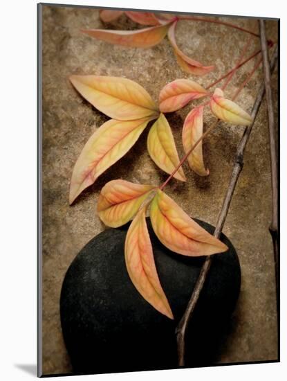 Nature's Balance-Julie Greenwood-Mounted Art Print