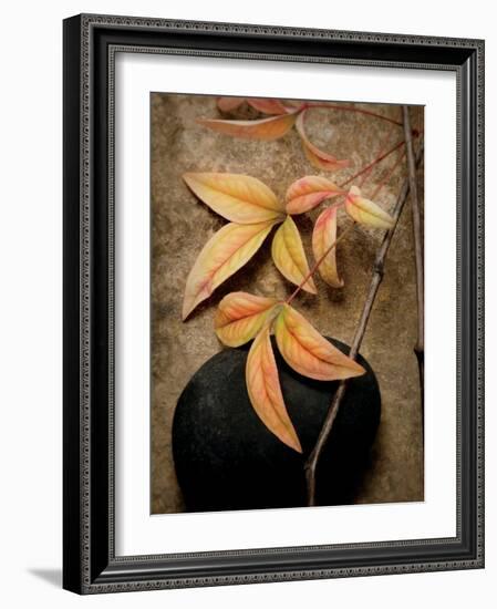 Nature's Balance-Julie Greenwood-Framed Art Print