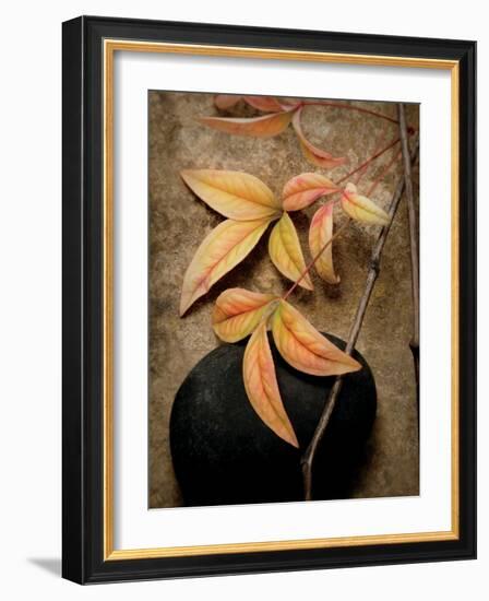 Nature's Balance-Julie Greenwood-Framed Art Print