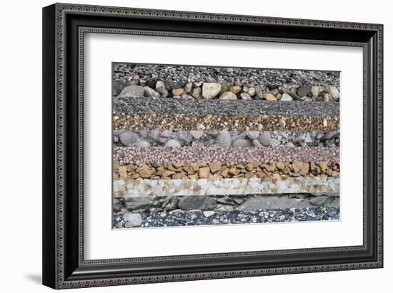 Nature's Beauty-null-Framed Premium Giclee Print