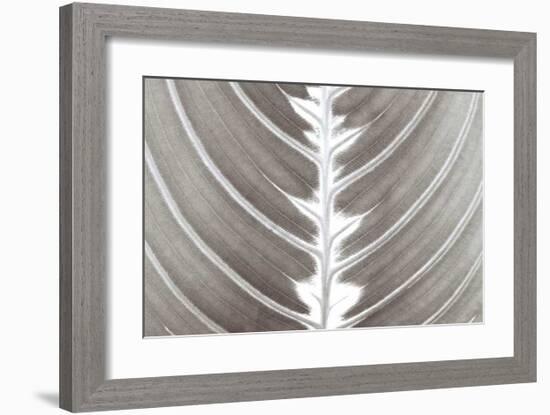 Nature's Beauty-Assaf Frank-Framed Giclee Print