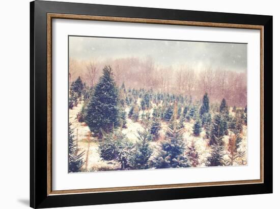 Nature's Beauty-Kelly Poynter-Framed Art Print