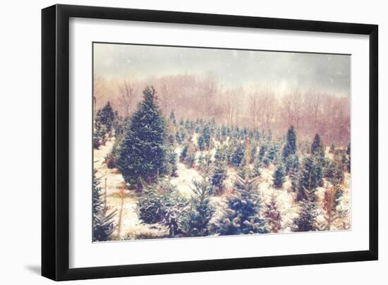 Nature's Beauty-Kelly Poynter-Framed Art Print