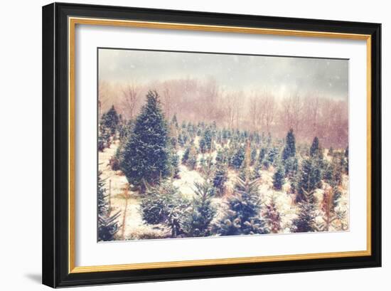 Nature's Beauty-Kelly Poynter-Framed Art Print