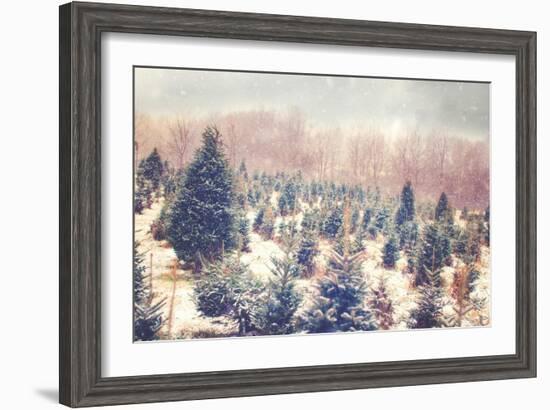 Nature's Beauty-Kelly Poynter-Framed Premium Giclee Print