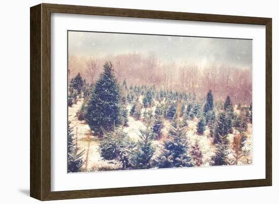 Nature's Beauty-Kelly Poynter-Framed Premium Giclee Print