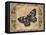 Nature's Butterfly I-Piper Ballantyne-Framed Stretched Canvas