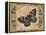 Nature's Butterfly I-Piper Ballantyne-Framed Stretched Canvas