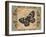 Nature's Butterfly I-Piper Ballantyne-Framed Art Print