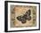 Nature's Butterfly I-Piper Ballantyne-Framed Art Print