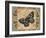 Nature's Butterfly I-Piper Ballantyne-Framed Art Print