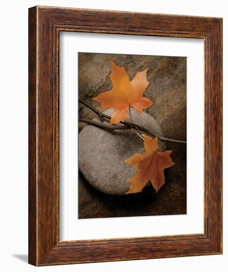 Nature's Calm-Julie Greenwood-Framed Art Print