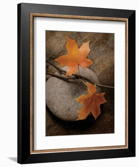 Nature's Calm-Julie Greenwood-Framed Art Print