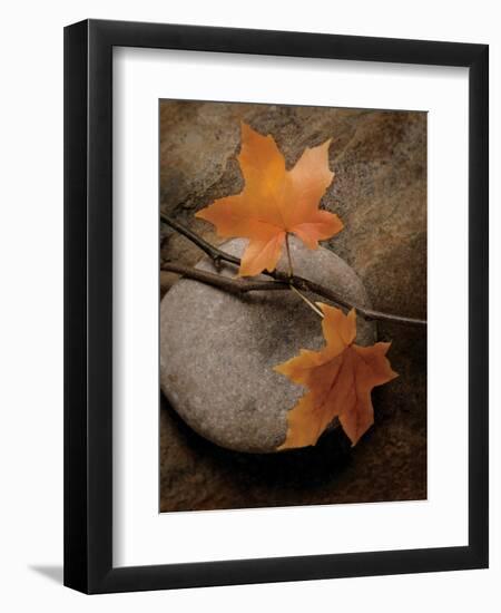 Nature's Calm-Julie Greenwood-Framed Art Print