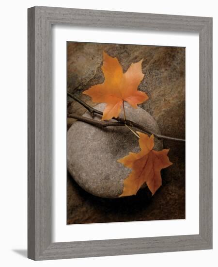 Nature's Calm-Julie Greenwood-Framed Art Print