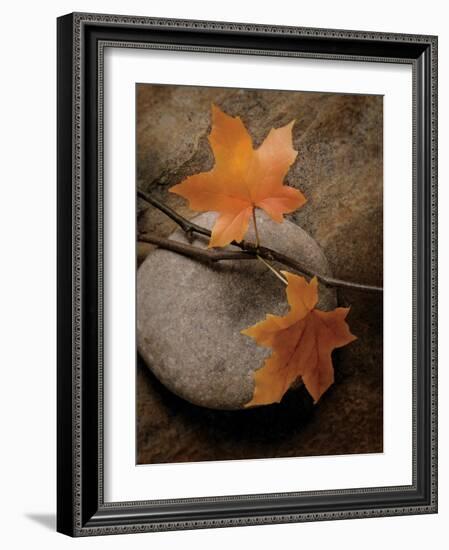 Nature's Calm-Julie Greenwood-Framed Art Print