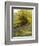 Nature's Carpet-John Noel-Framed Giclee Print