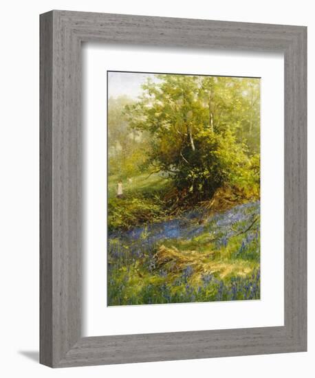 Nature's Carpet-John Noel-Framed Giclee Print