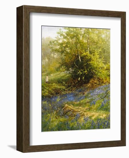 Nature's Carpet-John Noel-Framed Giclee Print