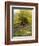 Nature's Carpet-John Noel-Framed Giclee Print