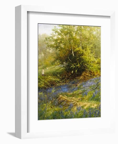 Nature's Carpet-John Noel-Framed Giclee Print