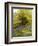 Nature's Carpet-John Noel-Framed Giclee Print