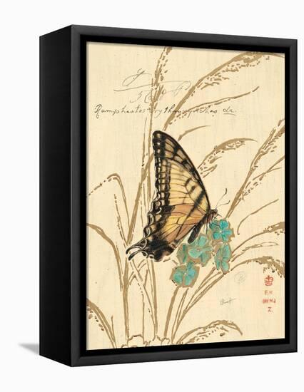 Nature's Curiosities 1-Chad Barrett-Framed Stretched Canvas