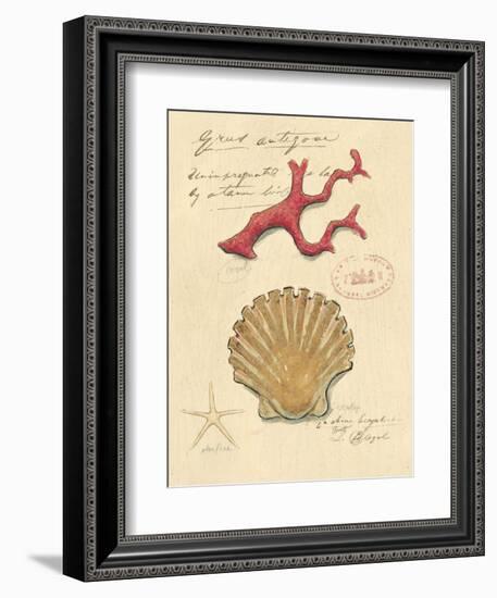 Nature's Curiosities 2-Chad Barrett-Framed Art Print