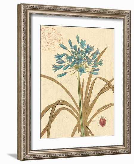 Nature's Curiosities 3-Chad Barrett-Framed Art Print