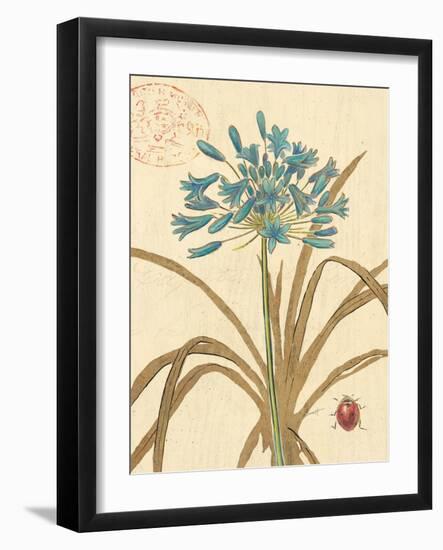 Nature's Curiosities 3-Chad Barrett-Framed Art Print