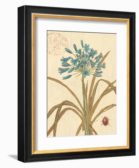 Nature's Curiosities 3-Chad Barrett-Framed Art Print