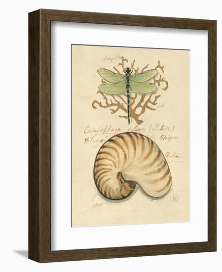 Nature's Curiosities 4-Chad Barrett-Framed Art Print