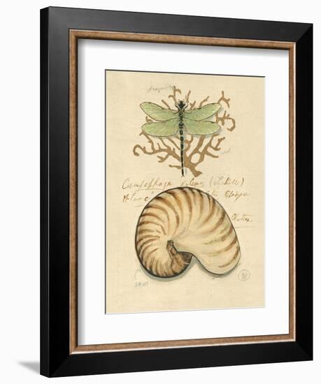 Nature's Curiosities 4-Chad Barrett-Framed Art Print