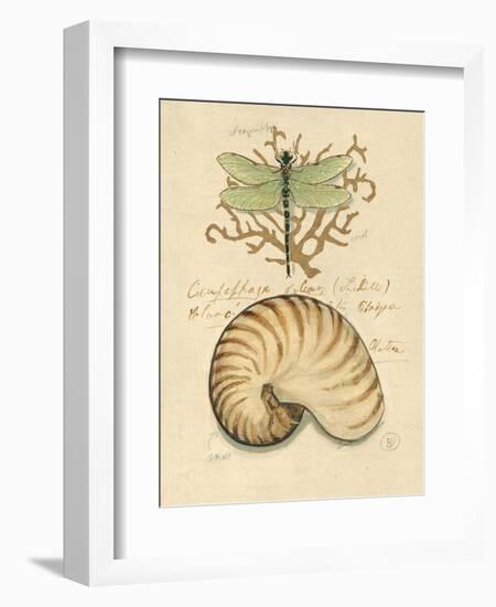 Nature's Curiosities 4-Chad Barrett-Framed Art Print