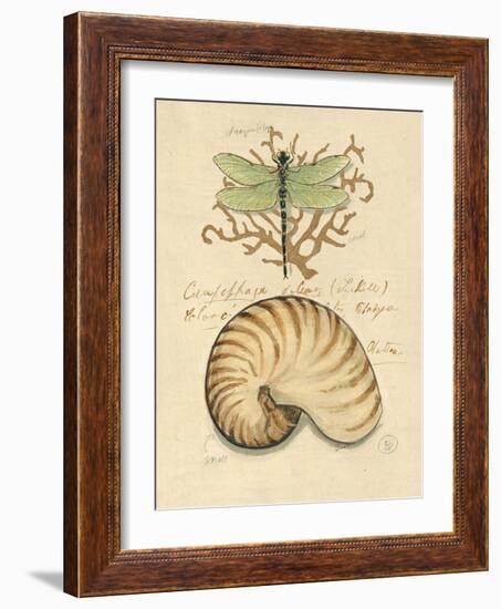 Nature's Curiosities 4-Chad Barrett-Framed Art Print