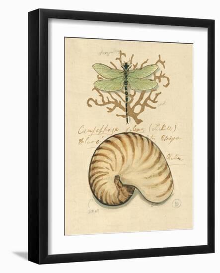 Nature's Curiosities 4-Chad Barrett-Framed Art Print