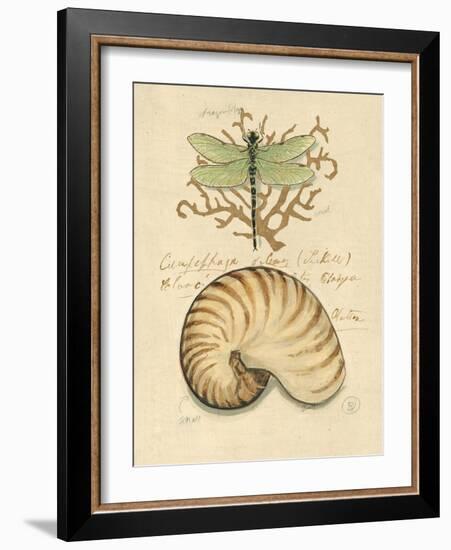 Nature's Curiosities 4-Chad Barrett-Framed Art Print