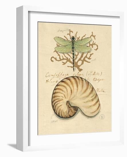 Nature's Curiosities 4-Chad Barrett-Framed Art Print