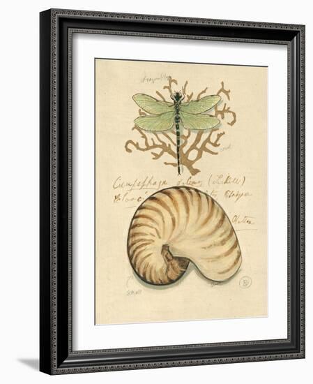 Nature's Curiosities 4-Chad Barrett-Framed Art Print