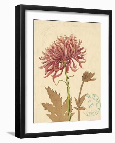 Nature's Curiosities 5-Chad Barrett-Framed Art Print