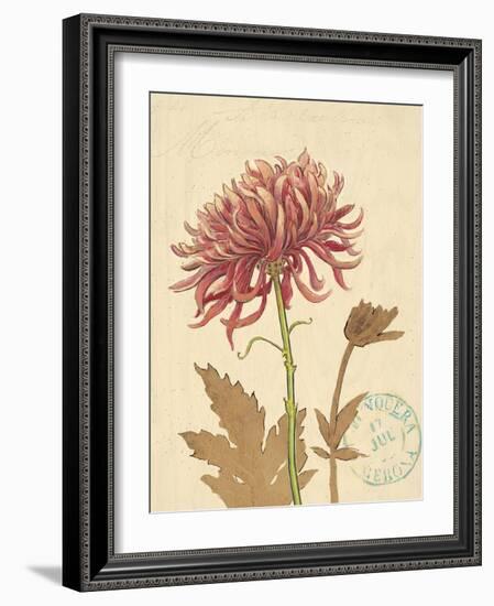 Nature's Curiosities 5-Chad Barrett-Framed Art Print