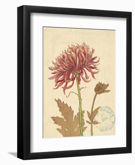 Nature's Curiosities 5-Chad Barrett-Framed Art Print