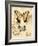 Nature's Curiosities 6-Chad Barrett-Framed Art Print