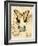 Nature's Curiosities 6-Chad Barrett-Framed Art Print