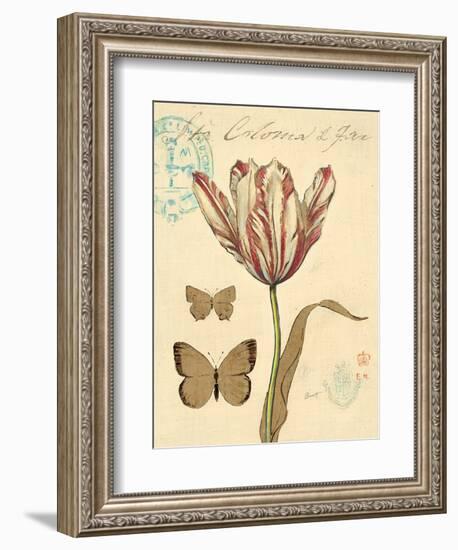 Nature's Curiosities 7-Chad Barrett-Framed Art Print