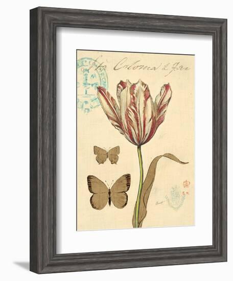 Nature's Curiosities 7-Chad Barrett-Framed Art Print