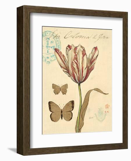 Nature's Curiosities 7-Chad Barrett-Framed Art Print