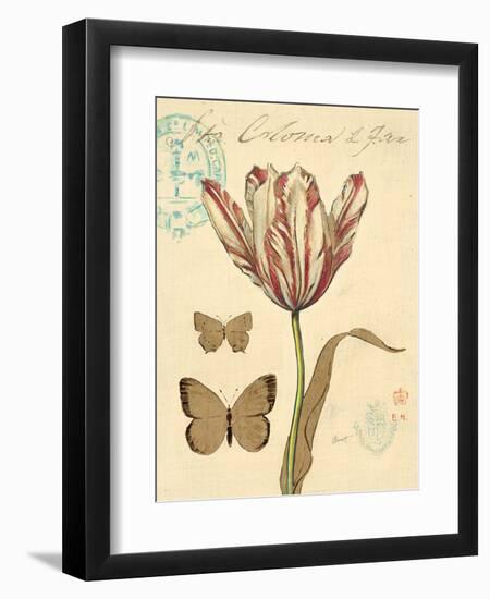 Nature's Curiosities 7-Chad Barrett-Framed Art Print