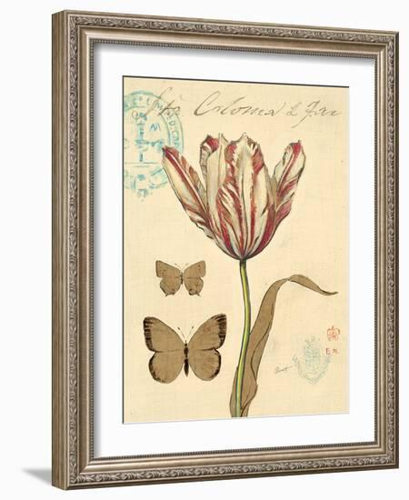 Nature's Curiosities 7-Chad Barrett-Framed Art Print