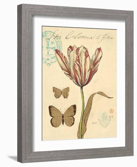 Nature's Curiosities 7-Chad Barrett-Framed Art Print